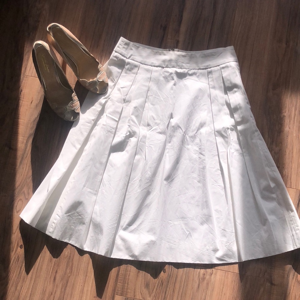 J Crew Skirt